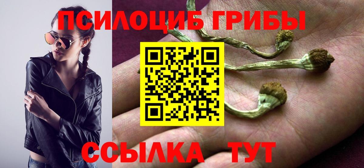 Галлюциногенные грибы мицелий  Псилоцибиновые грибы GOLDEN TEACHER  Вход с VPN  Советская Гавань 